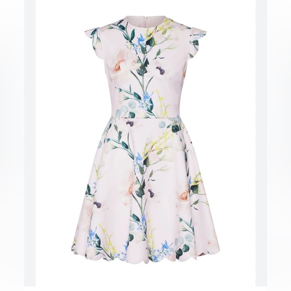 Ted Baker Karsali Elegance Scallop Skater Nude Pink Floral Cap Sleeve Dress 2 XS - Picture 3 of 16